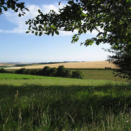 Seggat Farm Holiday Cottages Kirktown of Auchterless Buitenkant foto